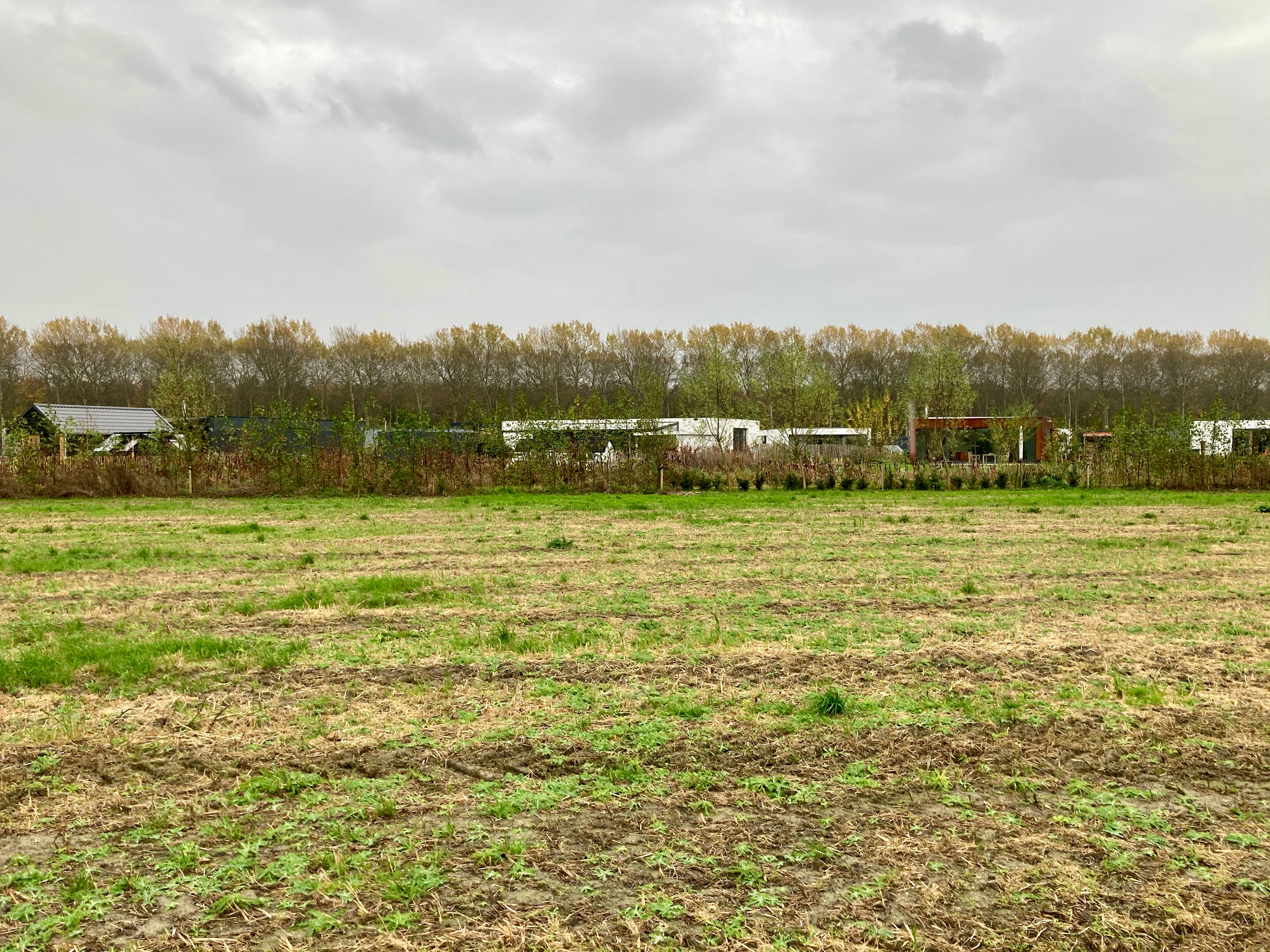 Our empty plot, a former agricultural&nbsp;field.
